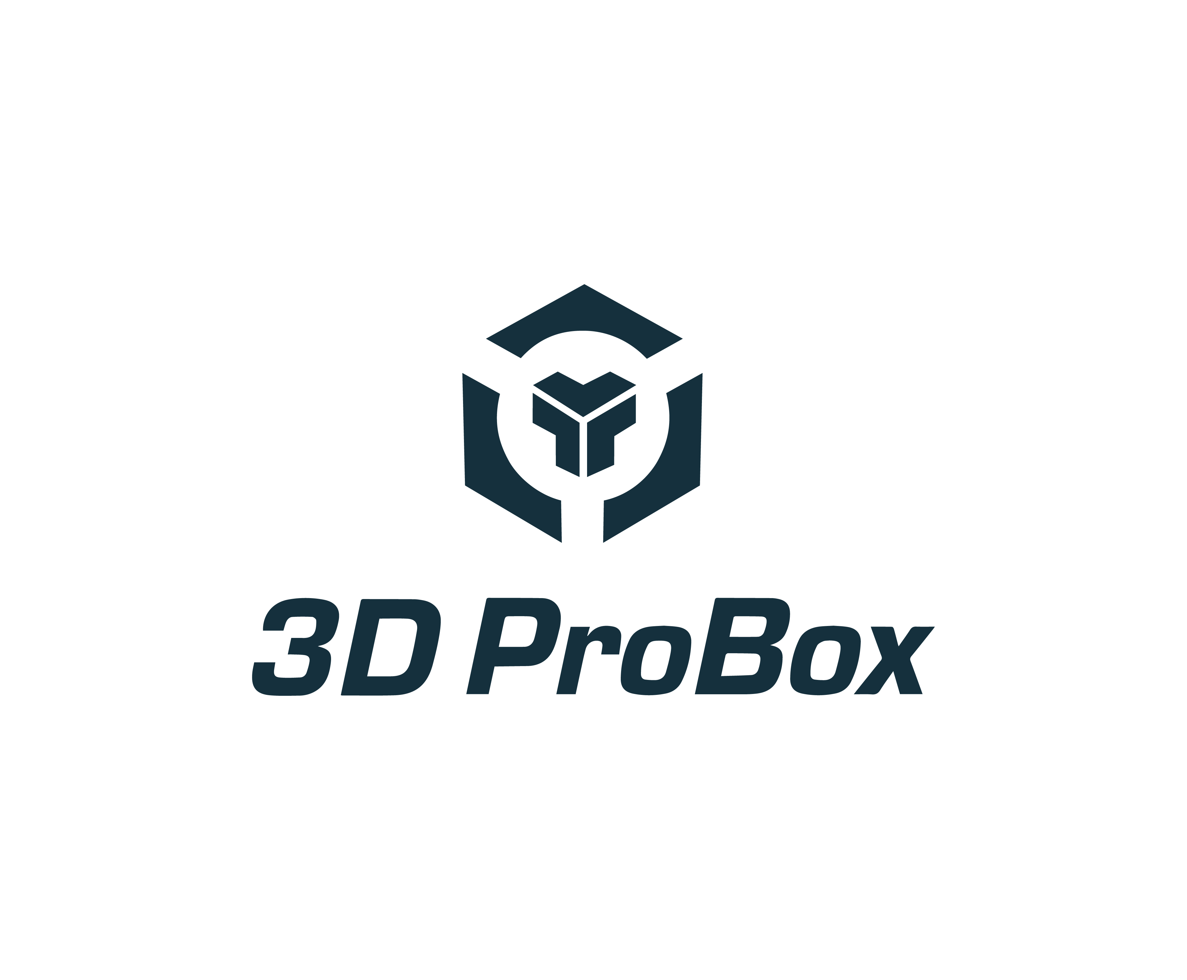 3D PROBOX TEKNOLOJİ HİZMLETLERİ SAN.VE TİC.A.Ş